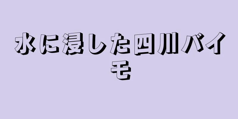 水に浸した四川バイモ