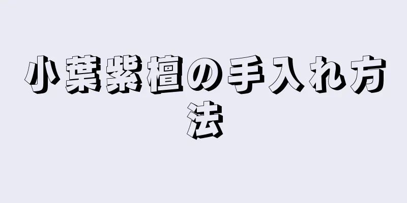 小葉紫檀の手入れ方法