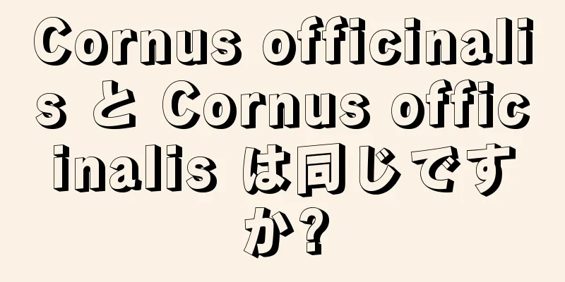 Cornus officinalis と Cornus officinalis は同じですか?