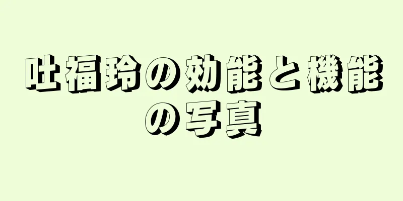 吐福玲の効能と機能の写真