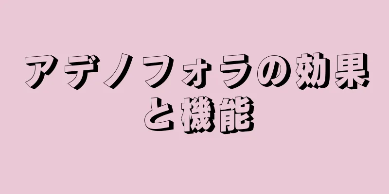 アデノフォラの効果と機能