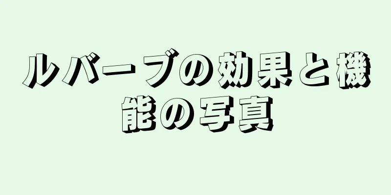 ルバーブの効果と機能の写真
