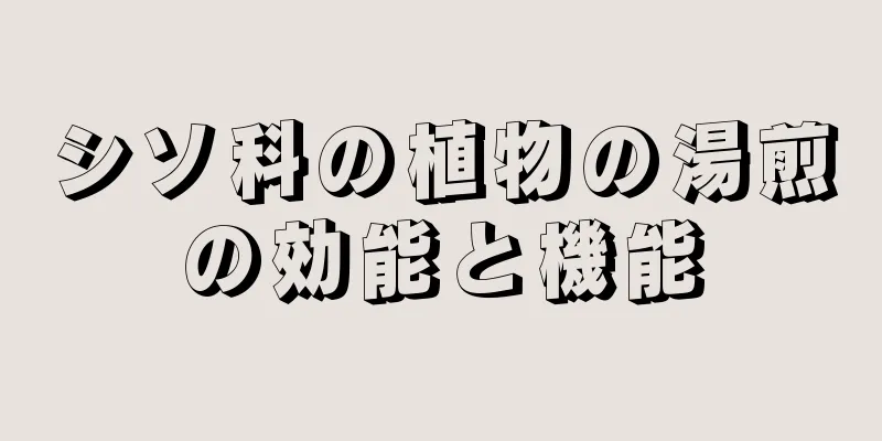 シソ科の植物の湯煎の効能と機能