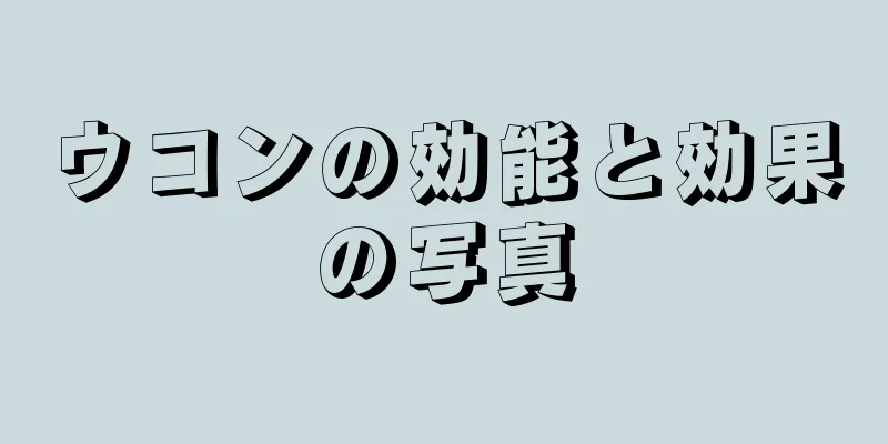 ウコンの効能と効果の写真