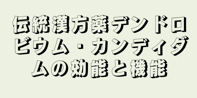 伝統漢方薬デンドロビウム・カンディダムの効能と機能