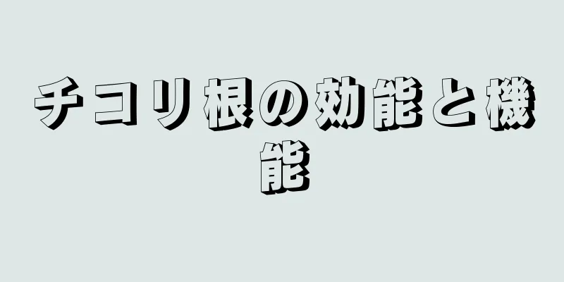 チコリ根の効能と機能