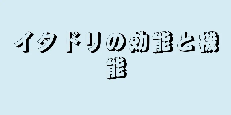 イタドリの効能と機能