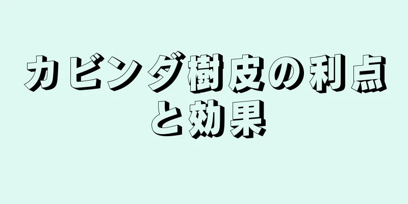 カビンダ樹皮の利点と効果