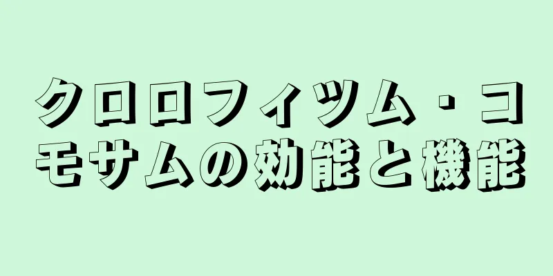 クロロフィツム・コモサムの効能と機能