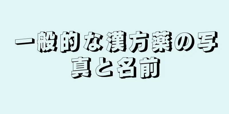 一般的な漢方薬の写真と名前