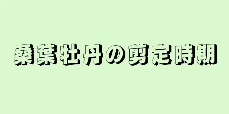 桑葉牡丹の剪定時期