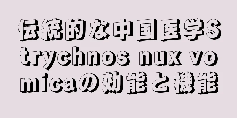 伝統的な中国医学Strychnos nux vomicaの効能と機能