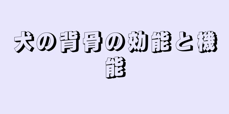 犬の背骨の効能と機能