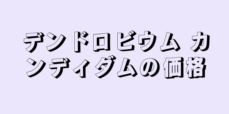 デンドロビウム カンディダムの価格