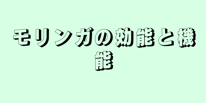 モリンガの効能と機能