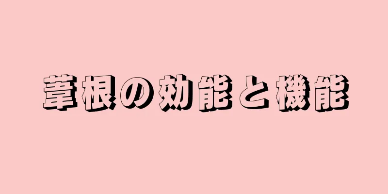葦根の効能と機能
