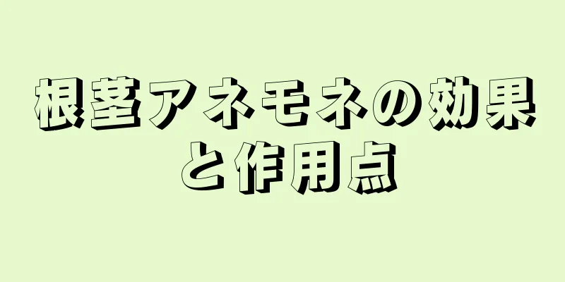 根茎アネモネの効果と作用点