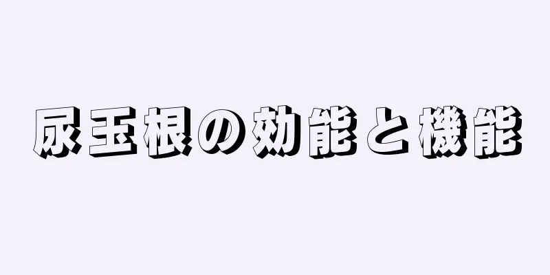 尿玉根の効能と機能