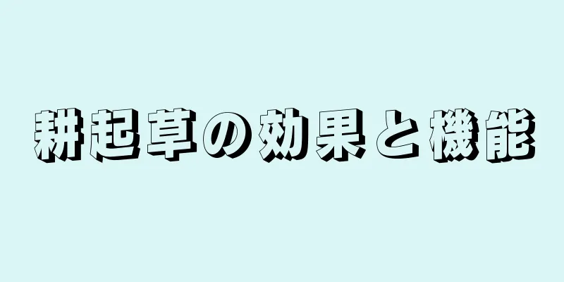 耕起草の効果と機能