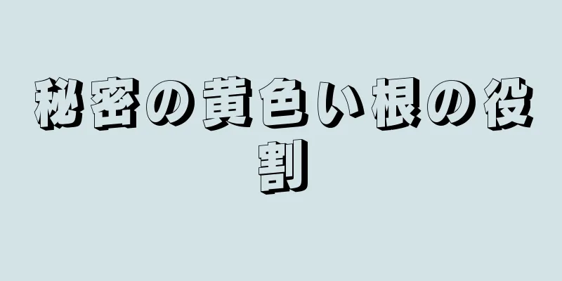 秘密の黄色い根の役割