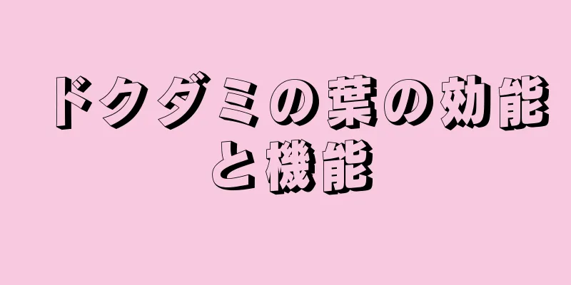 ドクダミの葉の効能と機能