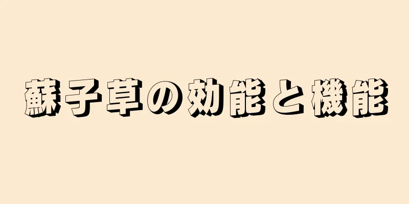 蘇子草の効能と機能