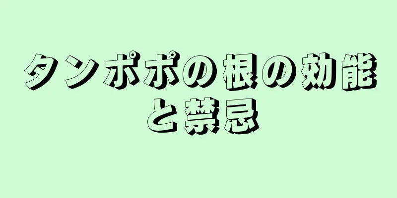 タンポポの根の効能と禁忌