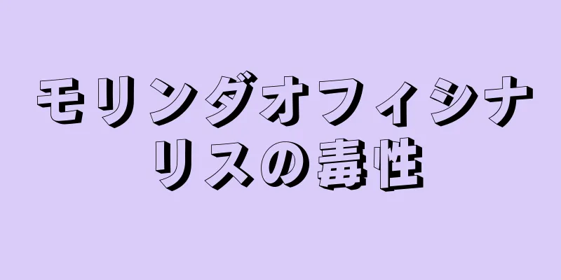 モリンダオフィシナリスの毒性
