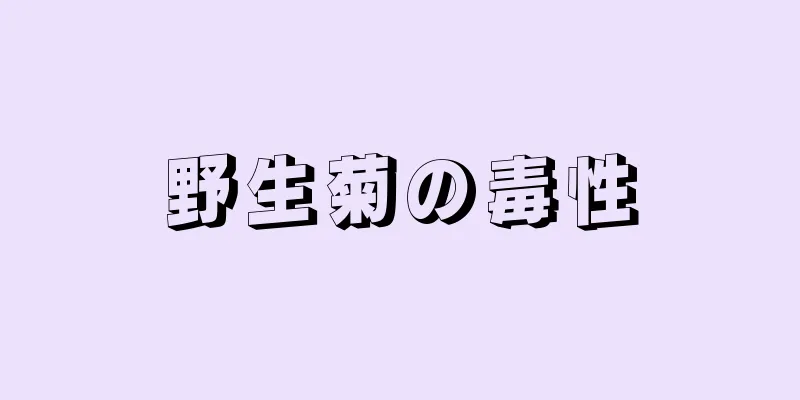 野生菊の毒性