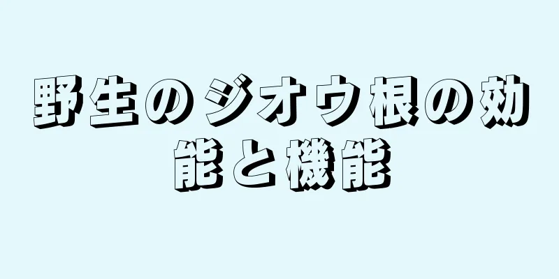 野生のジオウ根の効能と機能