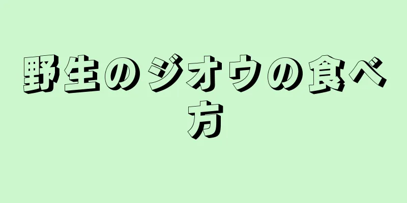野生のジオウの食べ方