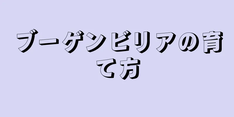 ブーゲンビリアの育て方