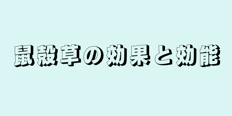 鼠殻草の効果と効能