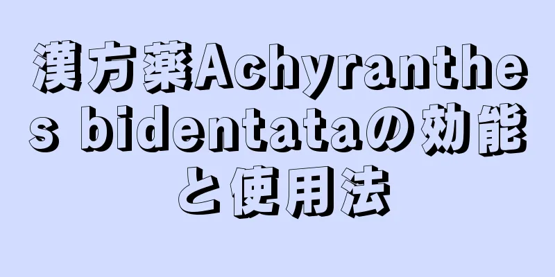漢方薬Achyranthes bidentataの効能と使用法