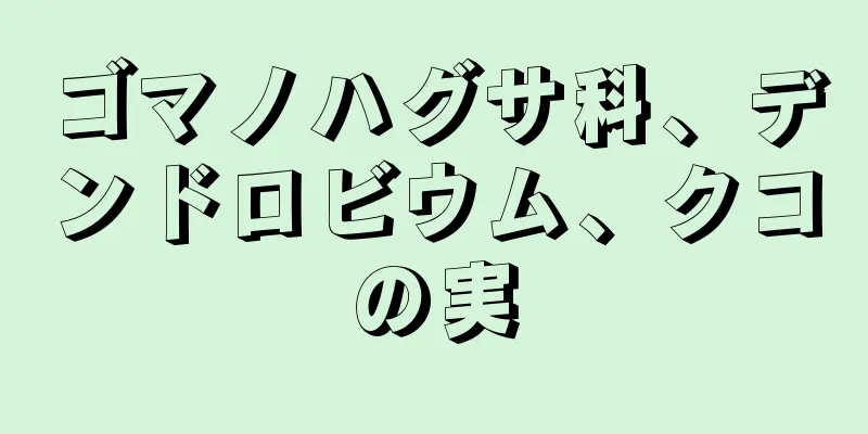 ゴマノハグサ科、デンドロビウム、クコの実