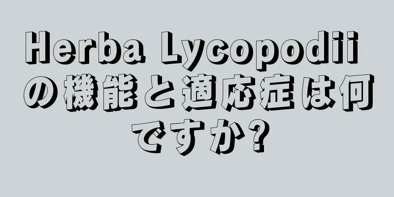 Herba Lycopodii の機能と適応症は何ですか?