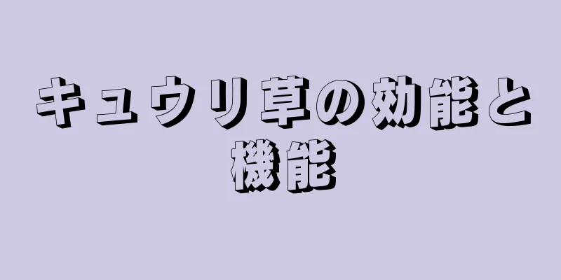 キュウリ草の効能と機能