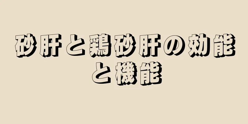砂肝と鶏砂肝の効能と機能