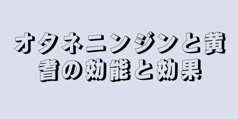 オタネニンジンと黄耆の効能と効果