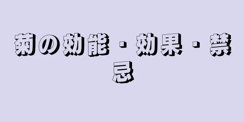菊の効能・効果・禁忌