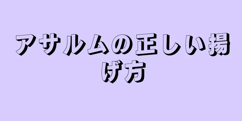 アサルムの正しい揚げ方