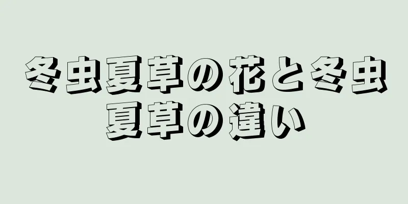 冬虫夏草の花と冬虫夏草の違い