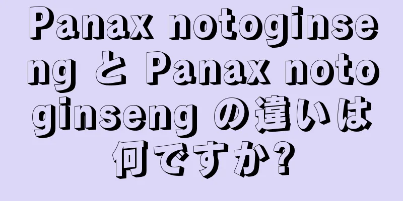 Panax notoginseng と Panax notoginseng の違いは何ですか?