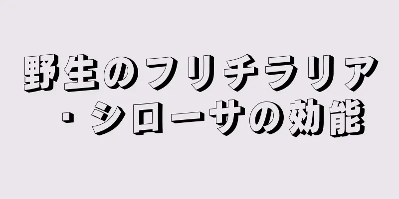 野生のフリチラリア・シローサの効能