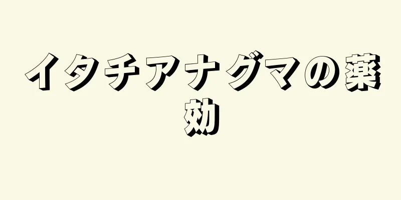 イタチアナグマの薬効