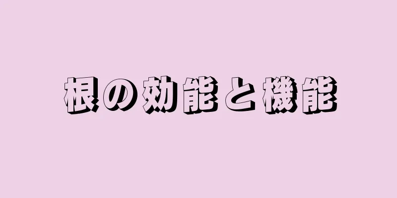 根の効能と機能
