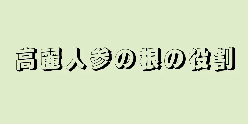 高麗人参の根の役割