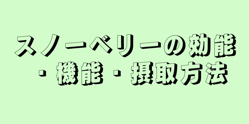 スノーベリーの効能・機能・摂取方法