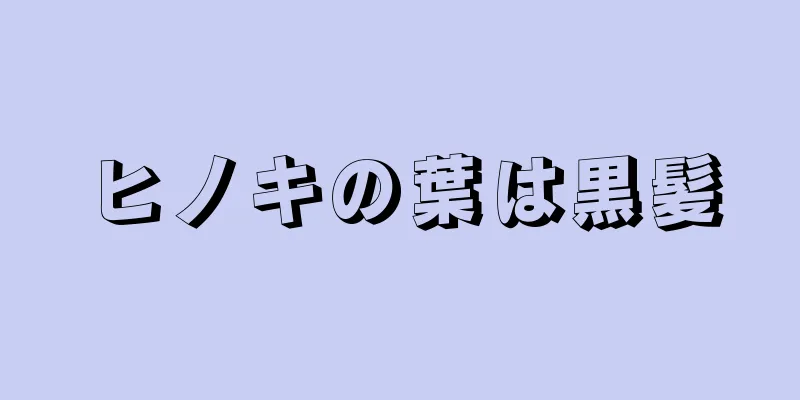 ヒノキの葉は黒髪