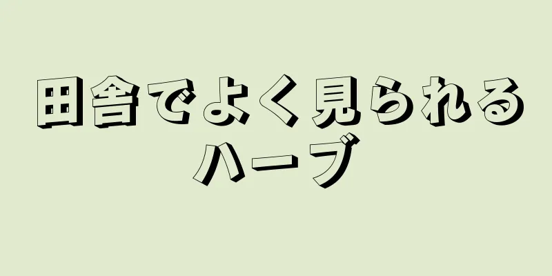 田舎でよく見られるハーブ